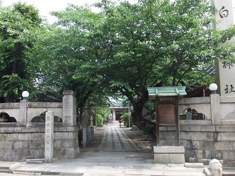 写真:白山神社