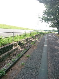 写真:庄内緑地サイクリングロード