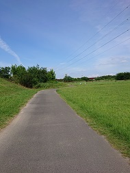 写真:庄内川自転車道(サイクリングロード)