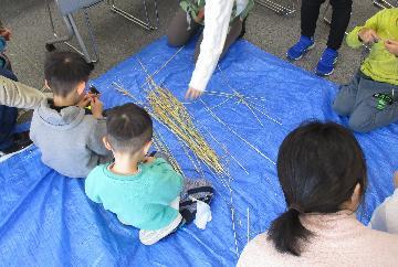 写真:石包丁で稲刈りをしている様子3