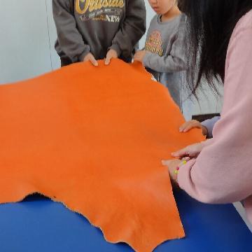 写真:実際の革に触れる様子