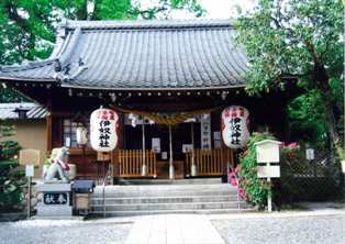 写真:伊奴神社の本社