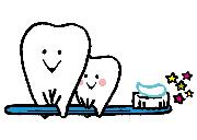 イラスト:歯
