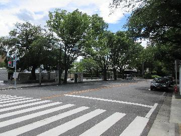 写真:名古屋城正門を出た様子