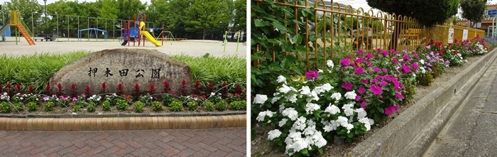 公園美化の様子