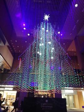 写真:クリスマスツリー