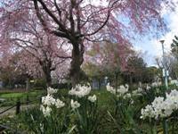 写真：横井山緑地
