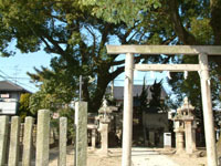春日神社の写真