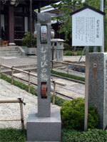 むすびの輪の写真