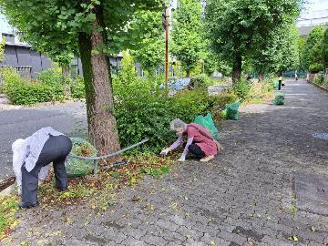 名城学区の清掃活動写真