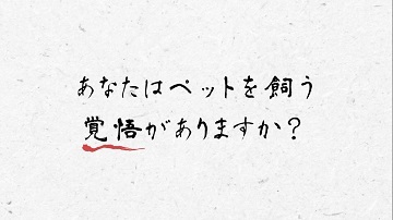 動画サムネイル:ペットは最後まで責任を持って飼いましょう