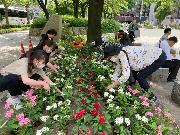 写真:下園公園花とまちづくりの会の有志の皆さんが、花壇に色とりどりの花を植えている様子