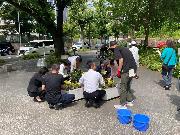 写真:名古屋観光ホテルの皆さまが花を植えている様子