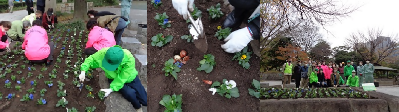 写真:下園公園 花植の様子