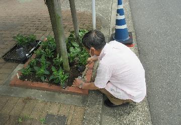写真:花植えの様子1