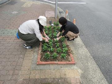 写真:花植えの様子2