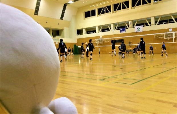 写真:大会2日目ショウちゃん観戦中