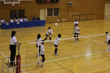 レクリエーションバレーボールの競技風景の写真