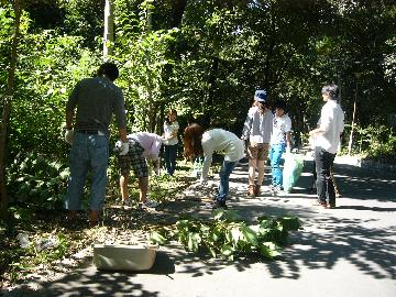 写真：八事の森での緑化活動です