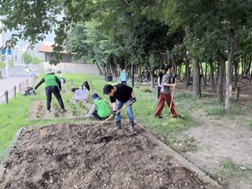 写真：川名公園での緑化活動です