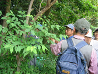 写真：自然観察会の様子