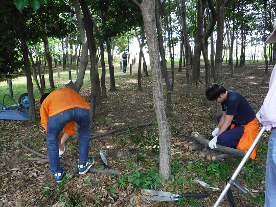 写真:間伐の様子