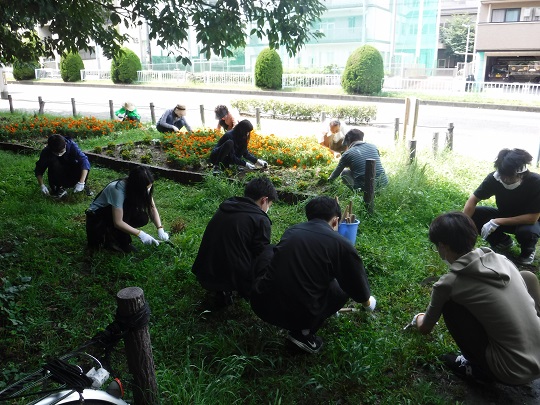 写真:草取りの様子