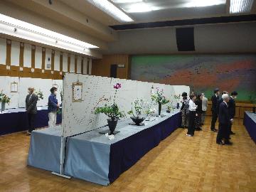 写真:秋のいけ花展2