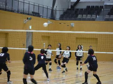 写真:第53回瑞穂区女性レクリエーションバレーボール春季大会の様子2