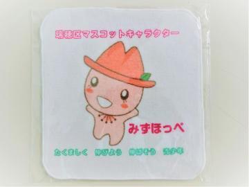 写真:瑞穂区ウォーキングイベント3