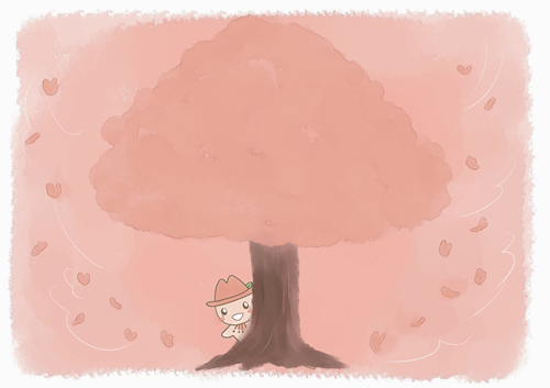 写真:絵本 さくらの木から覗きこむみずほっぺ