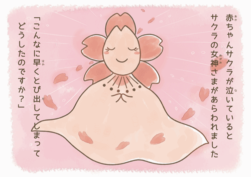 写真:絵本 サクラの女神さまが現われました。