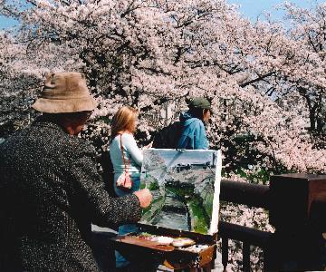 写真:平成17年度さくら大賞受賞作品「桜と老画家」