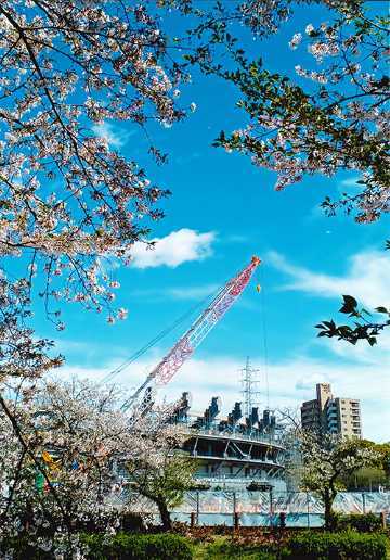 画像:令和6年度のさくら大賞の写真