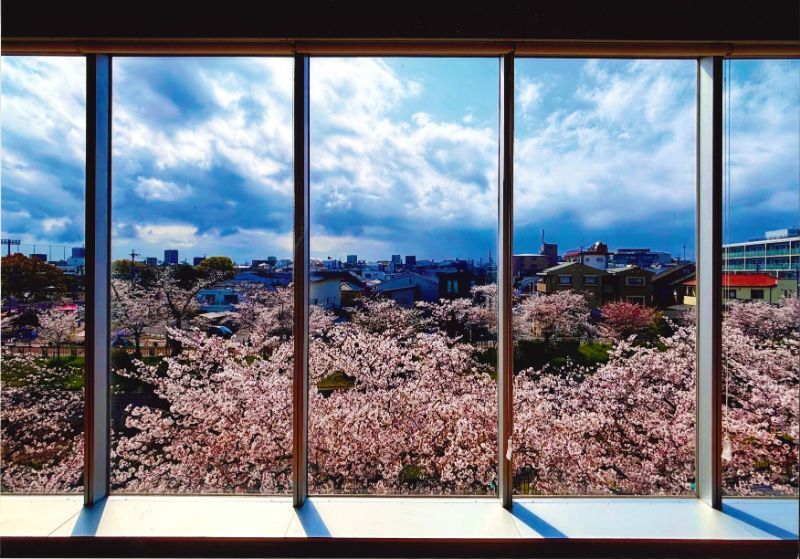 写真:さくら賞「幸せのひととき」