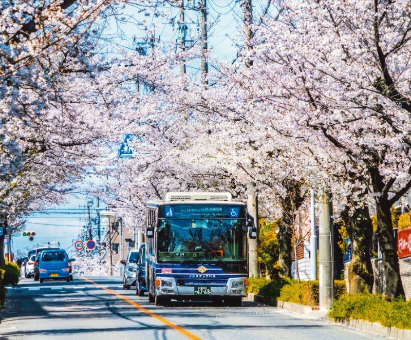 写真:みずほ賞「バスも来た!」