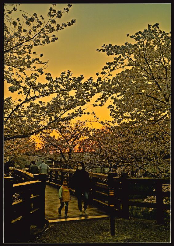 写真:郵便局賞「たそがれどき」