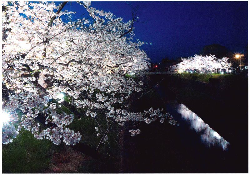 写真:みずほ賞「ブルーモーメント」