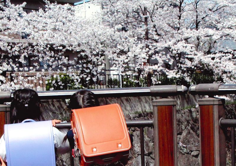 写真:郵便局賞「新1年生」