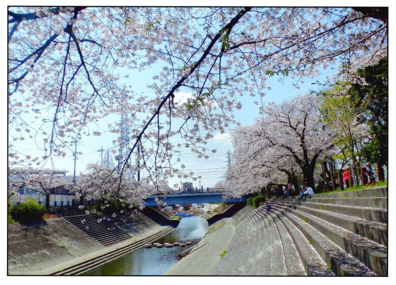 写真:瑞商連賞「憩いの階段」