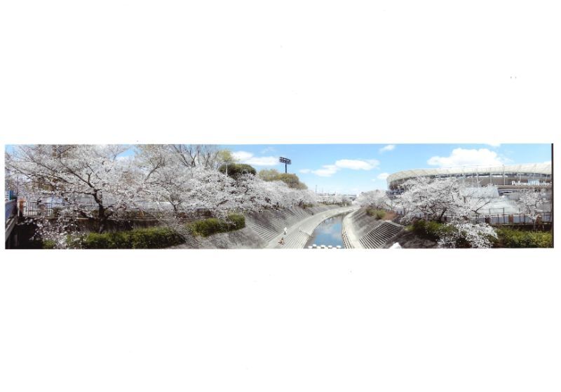 写真:矢作地所賞「山崎川の景観」