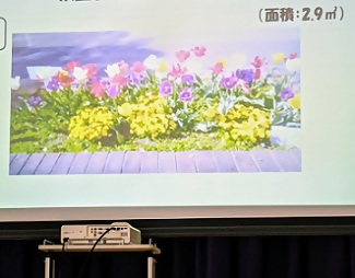 写真：きれいに咲く花の映像