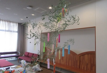 写真：七夕の笹に飾られた短冊