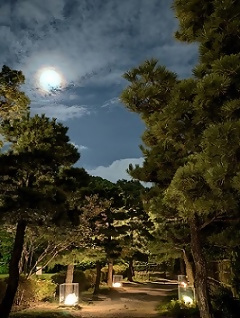 写真：白鳥公園の月