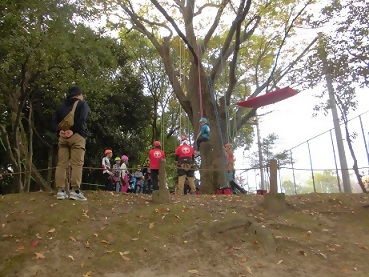 写真：ツリークライミング体験の様子