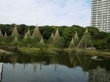 写真：白鳥公園の雪吊り