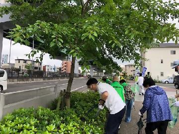 写真：植栽の中を清掃する皆さん