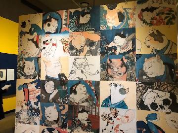 写真：壁一面に敷き詰められた猫たち