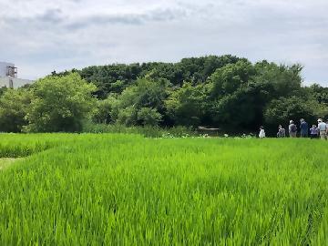 写真：三五の森