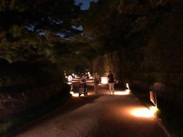 写真：路地を灯す美濃和紙あかりアートと竹行灯